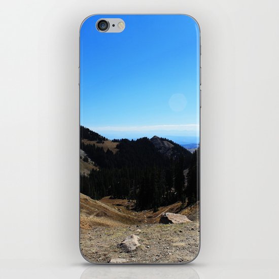 Dome iPhone & iPod Skin