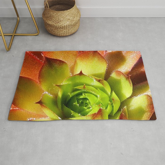 Succulent Series 4 Rug