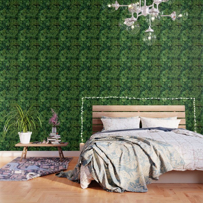 Greenery Forest Color Wallpaper By Nocolordesigns Society6