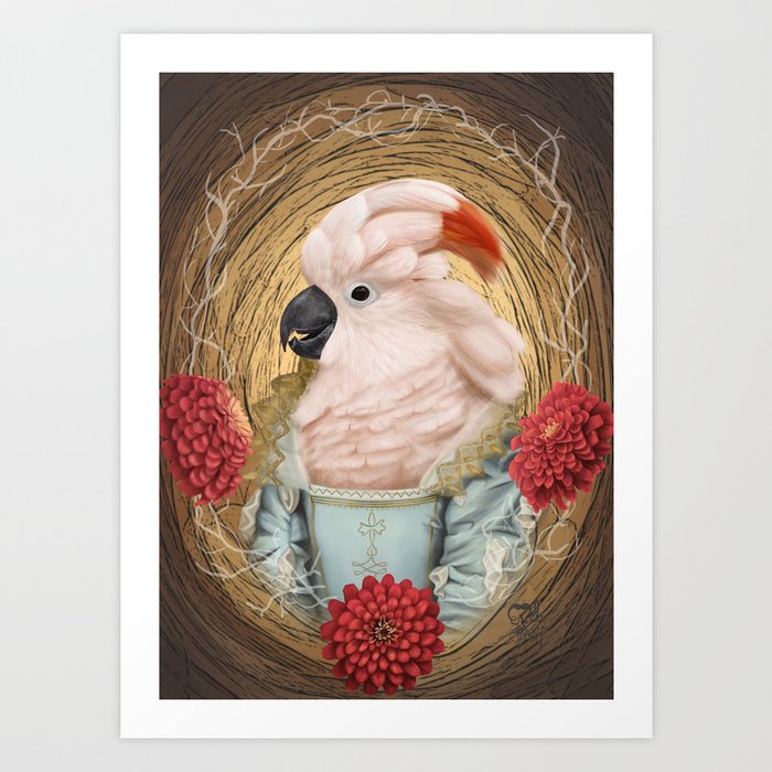 The Moluccan Cockatoo with Zinnias Art Print