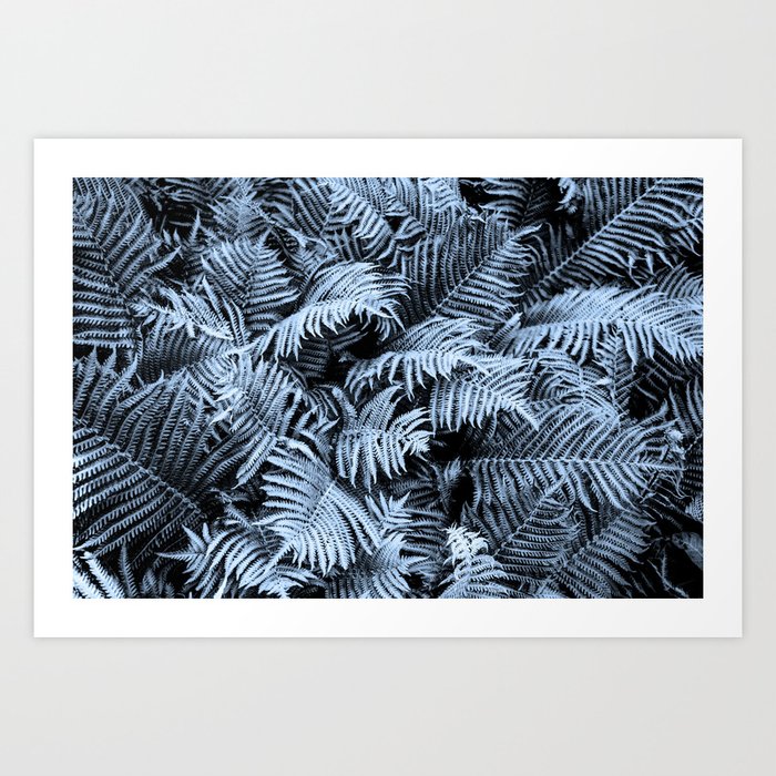 Fern Photography Pattern | Classic Blue | Botanical  Art Print