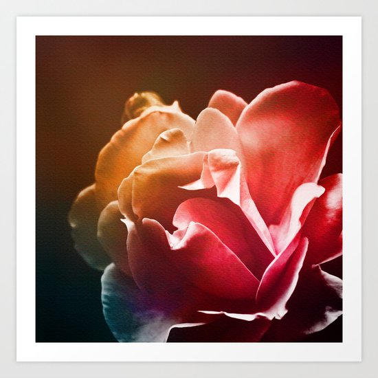 Dream Flower 2 Art Print