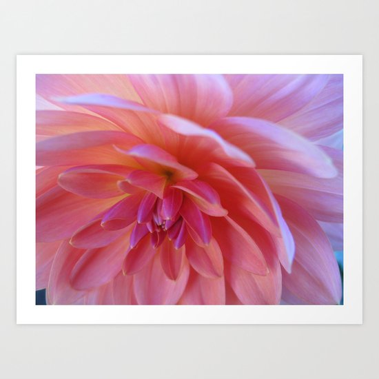Dahlia 75 Art Print