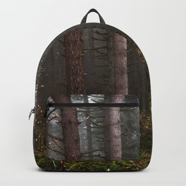 Pacfic Northwest Mountain Forest II - 107/365 Landscape Photography Backpack