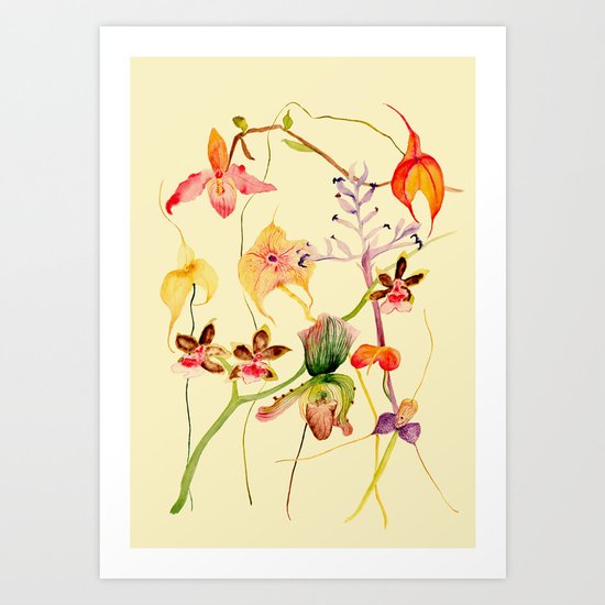 Orchids Art Print