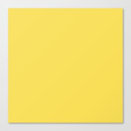 Yellow Zingiberales Canvas Print