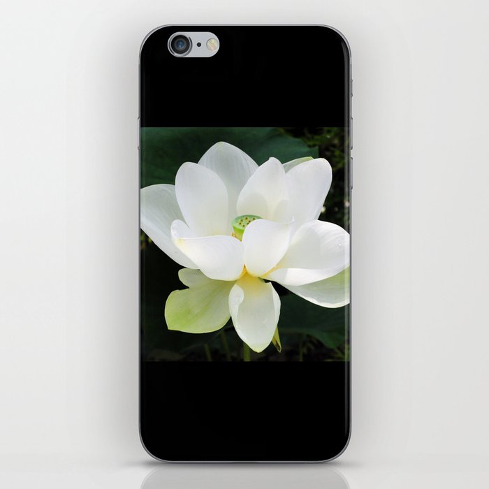 White Lotus iPhone Skin
