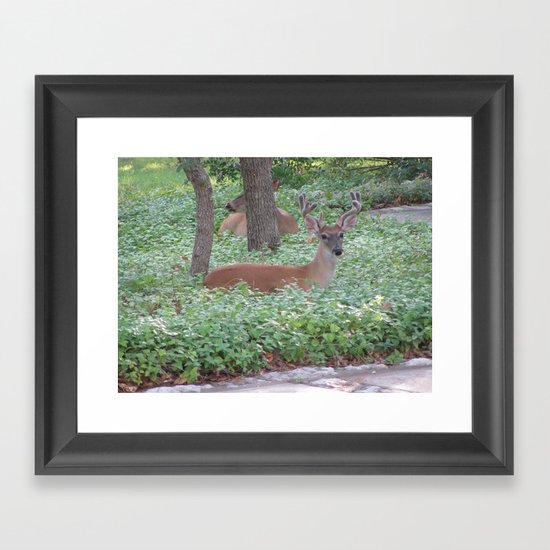 Here's Looking at You! Framed Art Print