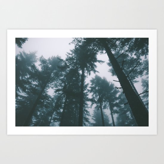 Forest XIII Art Print