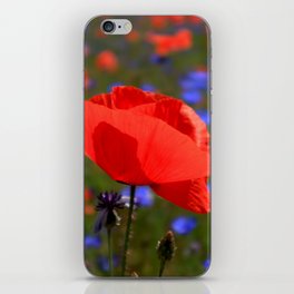 Beautiful Red Poppy iPhone Skin