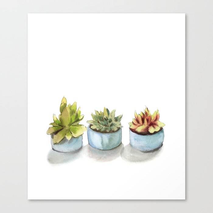 Succulents Watercolor Painting Canvas Print By Canotstop Society6