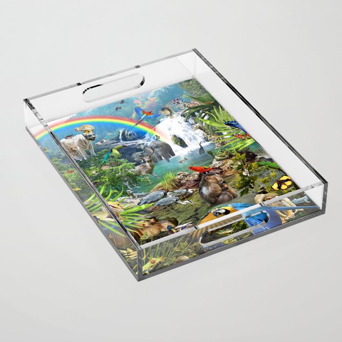 Jungle Waterfall Wild Animal Animals Scene Acrylic Tray