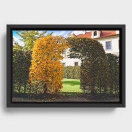 Autumn at Wallenstein Garden, Prague Framed Canvas