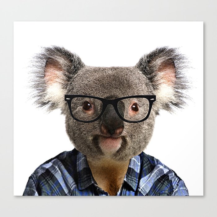 geek-koala-with-glasses-canvas.jpg