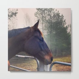 Foggy Morning Horse Metal Print | Color, Stable, Dressage, Horse, Eventer, Fog, Picture, Eventing, Thoroughbred, Equestrian 