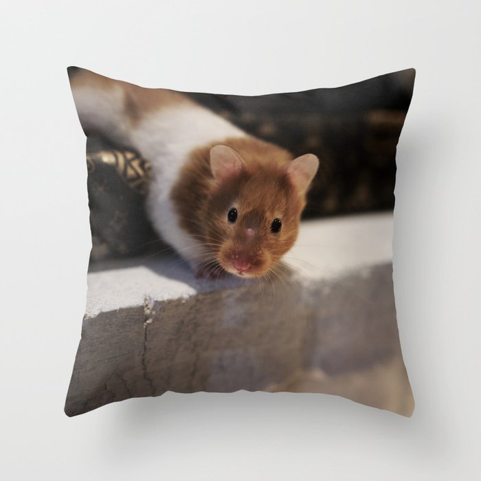 Cute Hamster Throw Pillow