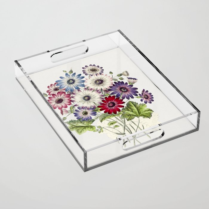 Colorful Chrysanthemums Acrylic Tray