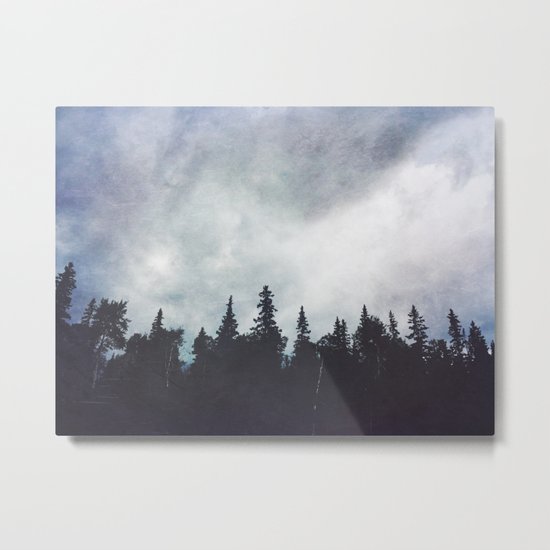 God Went North Metal Print