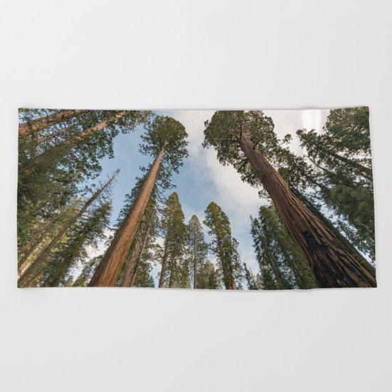 Redwood Sky - Giant Sequoia Trees Beach Towel