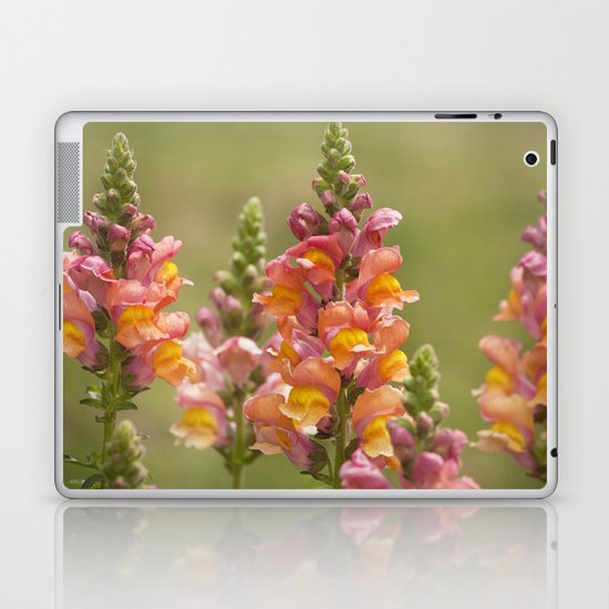 Snappy Tangerine Tango Laptop & iPad Skin