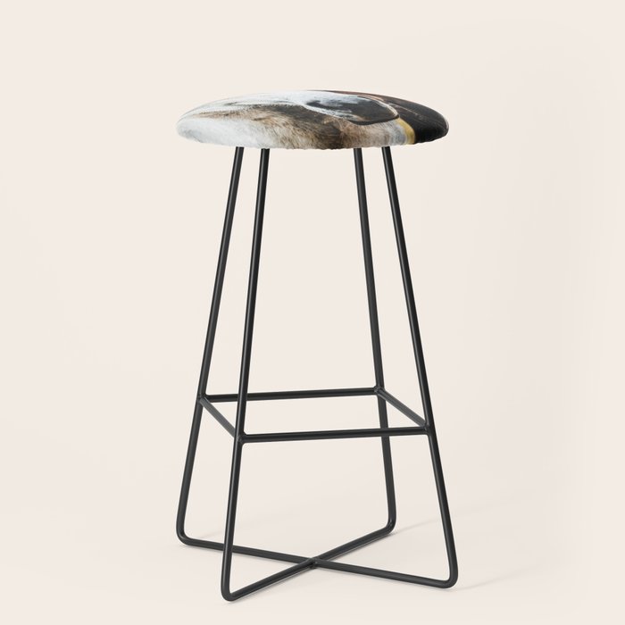Bar Stool
