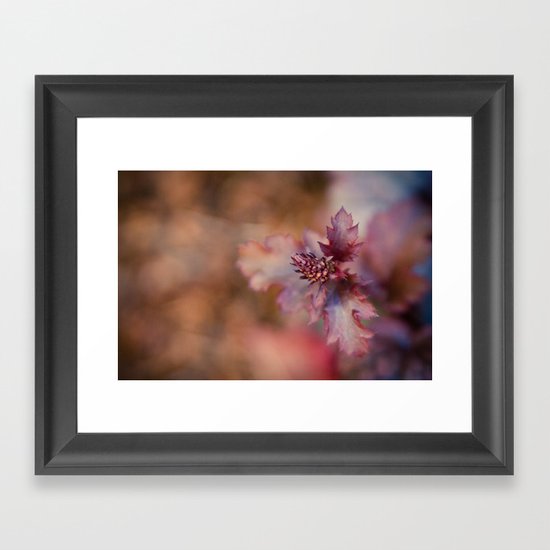 Reaching Up Framed Art Print