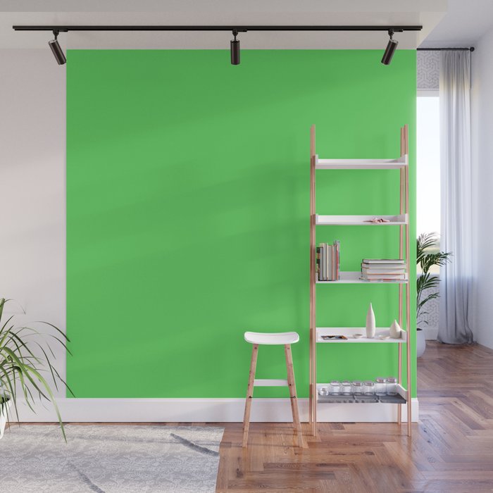 TREE FROG color Wall Mural