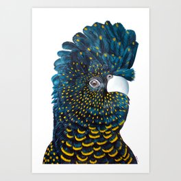 Cockatoo Art Prints For Any Decor Style Society6