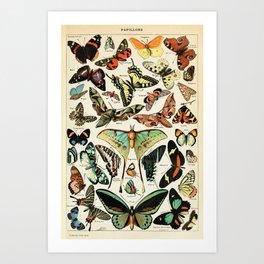 Papillon I Vintage French Butterfly Charts by Adolphe Millot Art Print