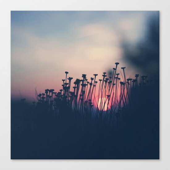 beach sunset Canvas Print