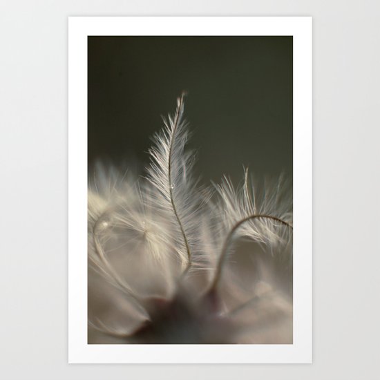 Feathery Frond Art Print