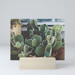 Prickly Mini Art Print
