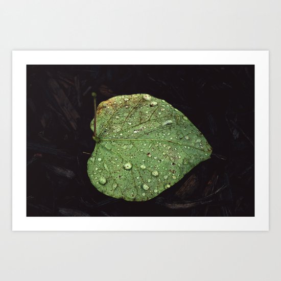Illuminate. Art Print