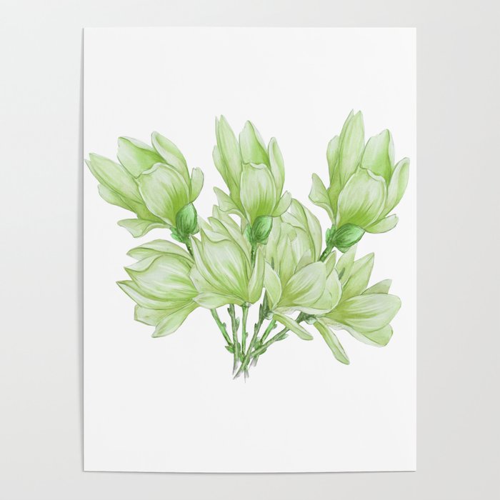 Bunch Of Light Green Flowers Poster
