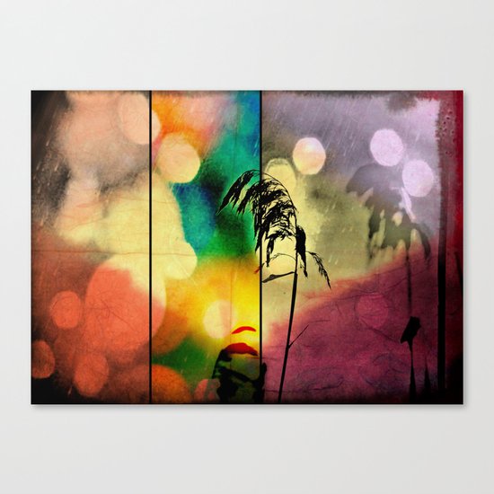Rainbow Grass Diamond Canvas Print