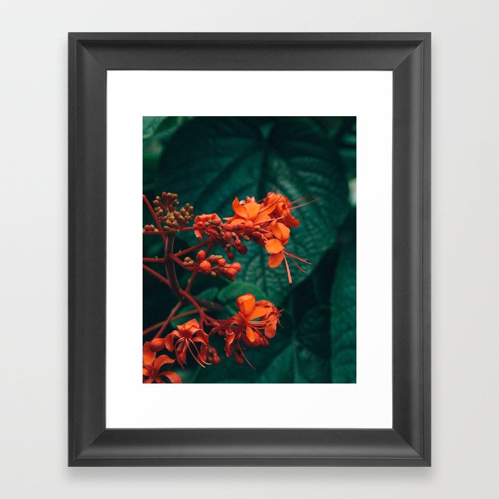 Tropical Plant Framed Art Print