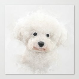 Bichon Frise Dog Portrait Canvas Print
