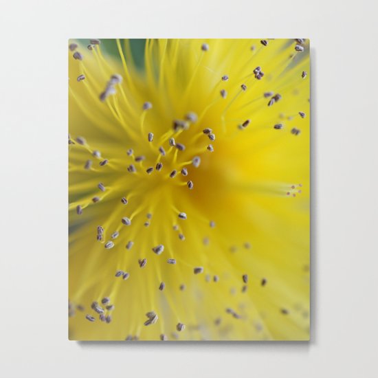 Be The One Girl (That I'll never Forget) Metal Print
