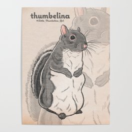 Little Thumbelina Girl: Meerkat Squirrel Poster