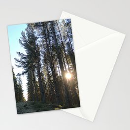 Winter Sunlight in a Scottish Highlands Pine Forest in Afterglow Stationery Card