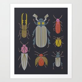 Beetle Specimens Art Print