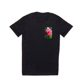 Pink Roses in Anzures 6 Abstract Circles 1 T Shirt