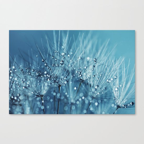 Drops sparkling on a Dandelion- Abstract blue close-up Canvas Print