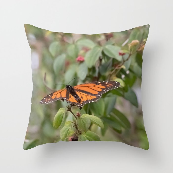 monarch Throw Pillow
