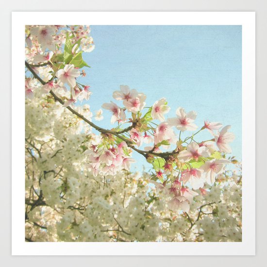 Pink on White Art Print