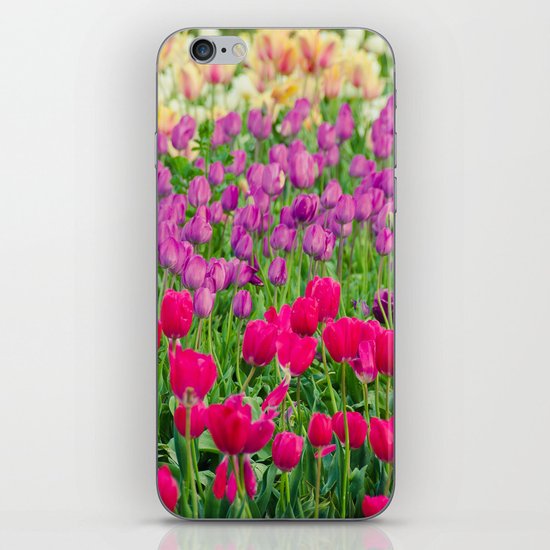 Fields of Color I, Woodburn Tulip Festival iPhone & iPod Skin