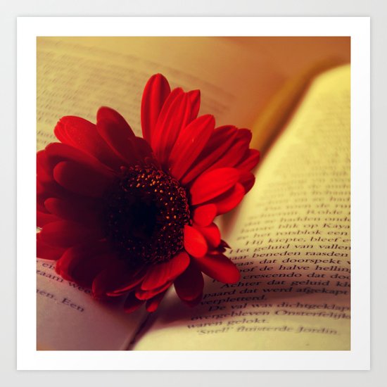 Shiny red gerbera Art Print