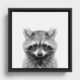 Baby Raccoon Framed Canvas