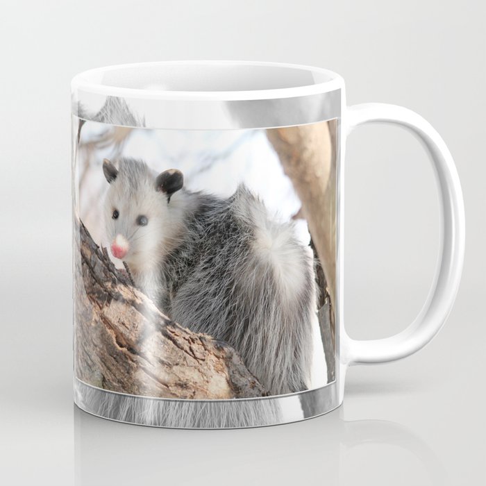 North American Opossum in Winter Coffee Mug