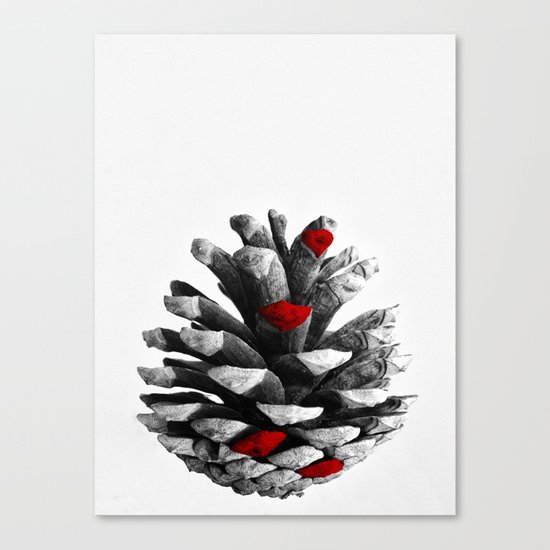 pinecone nature plants Canvas Print